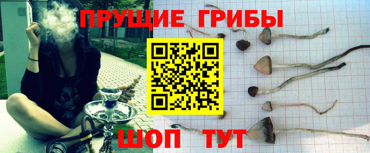 Ялта  Галлюциногенные грибы Cubensis  Вход с VPN 