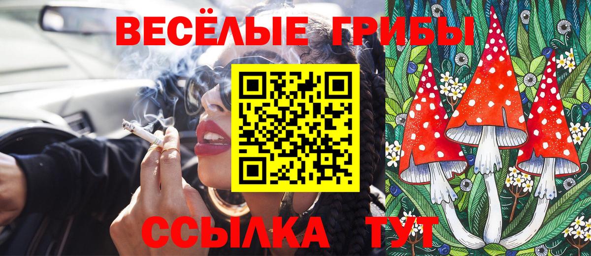Псилоцибиновые грибы GOLDEN TEACHER Ялта